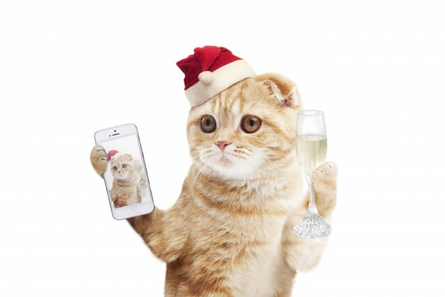 クリスマスのプレゼント交換 1000円で子供やママ友が嬉しいものは？